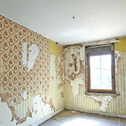 LES GENTLEMEN DE LA RENOVATION Peinture Nice A1